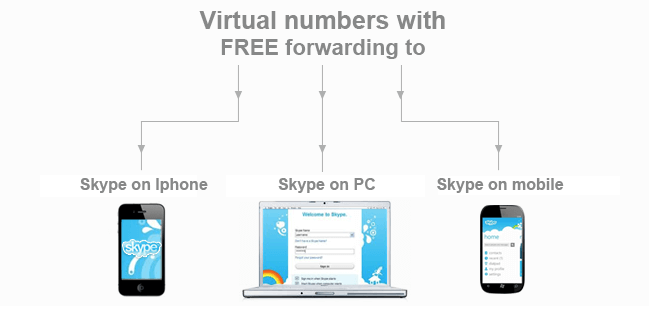 Usage of SkypeIn service